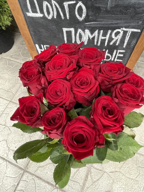 Роза красная купить Минск